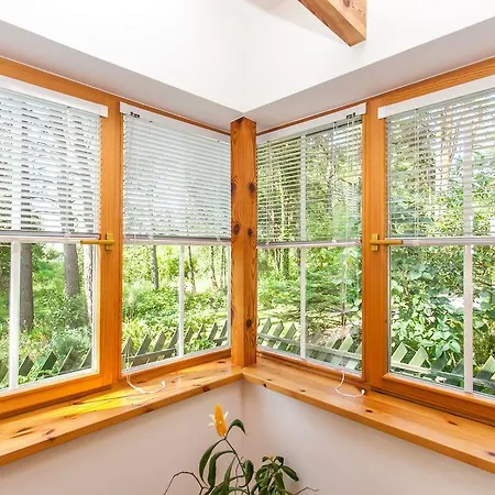 Sveciu Namelis Друскининкай