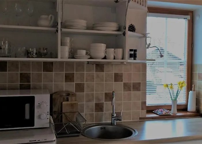 Sveciu Namelis * Druskininkai