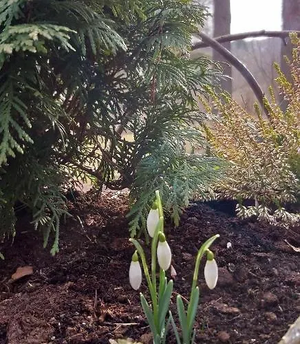 Сasa de vacaciones Sveciu Namelis Druskininkai